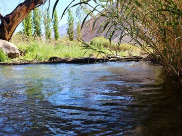 Gran Oportunidad de Inversión - Valle de Elqui