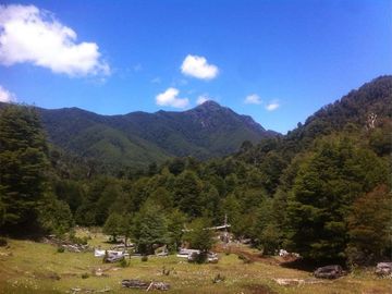 Campo en venta en Pucón 300 Hectáreas