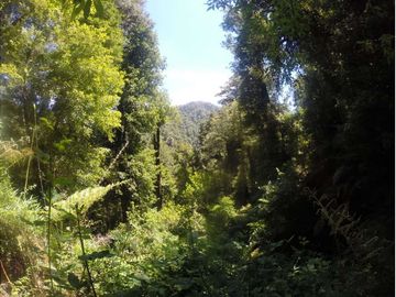 Campo en venta en Pucón 300 Hectáreas