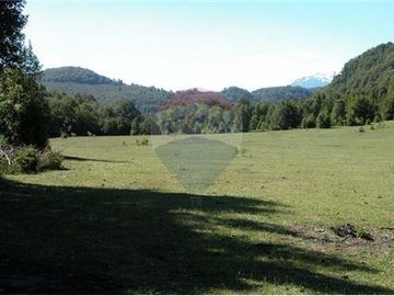 VENTA CAMPO 206 Ha  COCHAMÓ LAGO LAS ROCAS