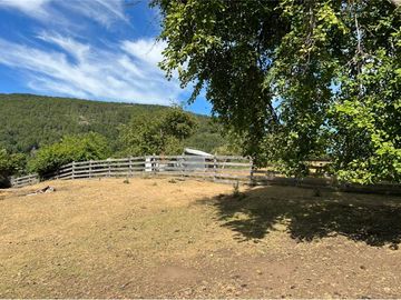 VENTA CAMPO 206 Ha  COCHAMÓ LAGO LAS ROCAS