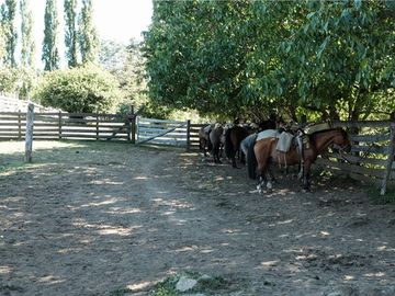 VENTA CAMPO 206 Ha  COCHAMÓ LAGO LAS ROCAS