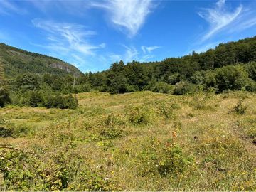 VENTA CAMPO 206 Ha  COCHAMÓ LAGO LAS ROCAS