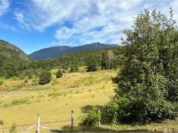 VENTA CAMPO 206 Ha  COCHAMÓ LAGO LAS ROCAS