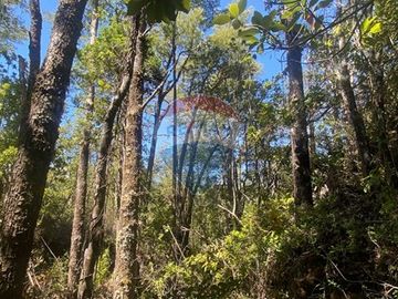 Venta de hermoso Campo rodeado por dos Esteros