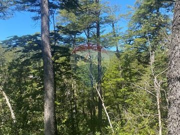 Venta de hermoso Campo rodeado por dos Esteros