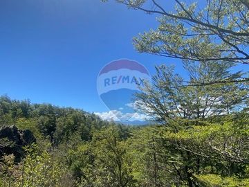 Venta de hermoso Campo rodeado por dos Esteros
