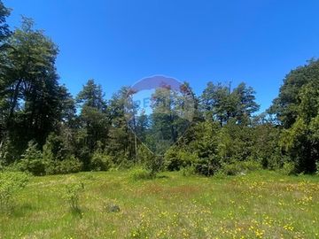 Venta de hermoso Campo rodeado por dos Esteros