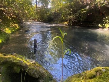 Venta de hermoso Campo rodeado por dos Esteros