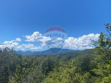 Venta de hermoso Campo rodeado por dos Esteros