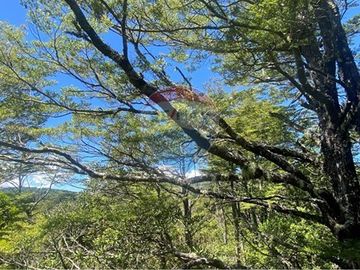 Venta de hermoso Campo rodeado por dos Esteros