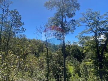 Venta de hermoso Campo rodeado por dos Esteros
