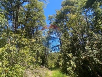 Venta de hermoso Campo rodeado por dos Esteros