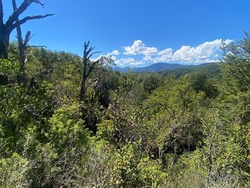Venta de hermoso Campo rodeado por dos Esteros