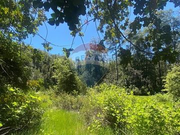 Venta de hermoso Campo rodeado por dos Esteros