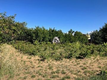 SE VENDE TERRENO 5000 M2 CON VIVIENDA DE 125 M2 EN CHILLAN.