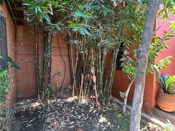 Casa en Venta en La Gloria, Tijuana | 1 Planta | 3 Recámaras | 514 m² de Terreno