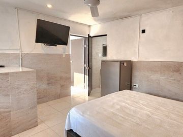 Renta Estudio Amueblado Nueva Alemán