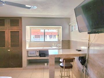 Renta Estudio Amueblado Nueva Alemán
