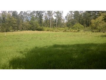 Venta de Finca  en Rionegro