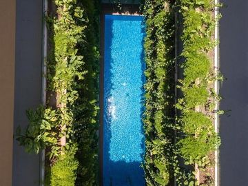 DEPARTAMENTO AMUEBLADO 1 REC 1 BAÑO 47M2  EN RENTA EN PLAYA DEL CARMEN CON ALBERCA