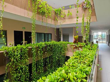 DEPARTAMENTO AMUEBLADO 1 REC 1 BAÑO 47M2  EN RENTA EN PLAYA DEL CARMEN CON ALBERCA