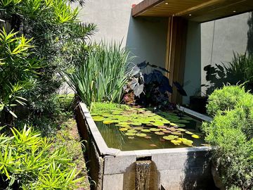 Casa en renta en Senderos de Monteverde, Tlajomulco de Zuñiga