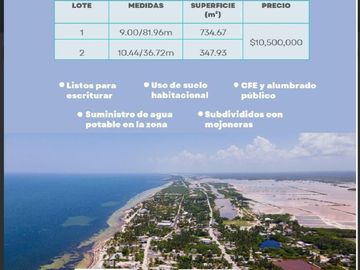 Terreno en venta en San Crisanto, Yucatán a la orilla de la playa