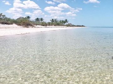 Terreno en venta en San Crisanto, Yucatán a la orilla de la playa