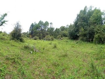 Terreno en venta en El Manzano, Valle de Bravo
