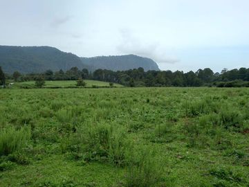Terreno en venta en El Manzano, Valle de Bravo