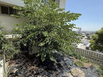 Casa en Venta en Vista Hermosa, Monterrey, N.L.