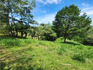 SE VENDE FINCA AGROPECUARIA EN COLÓN