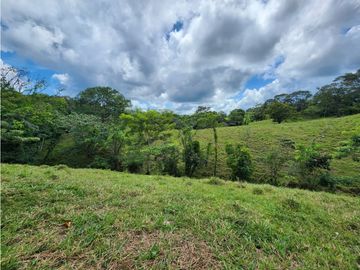 SE VENDE FINCA AGROPECUARIA EN COLÓN