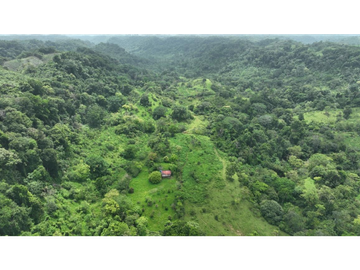 SE VENDE FINCA AGROPECUARIA EN COLÓN