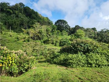 SE VENDE FINCA AGROPECUARIA EN COLÓN