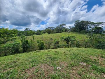 SE VENDE FINCA AGROPECUARIA EN COLÓN