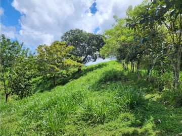 SE VENDE FINCA AGROPECUARIA EN COLÓN