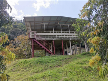 SE VENDE FINCA AGROPECUARIA EN COLÓN