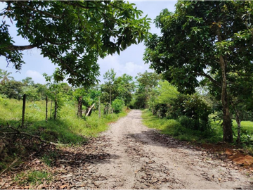 SE VENDE FINCA AGROPECUARIA EN COLÓN