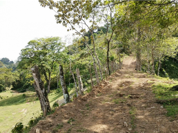 SE VENDE FINCA AGROPECUARIA EN COLÓN