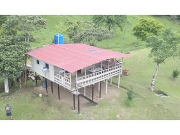 SE VENDE FINCA AGROPECUARIA EN COLÓN