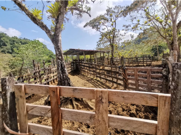 SE VENDE FINCA AGROPECUARIA EN COLÓN