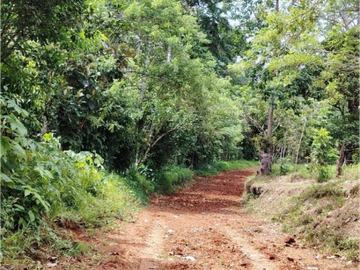 SE VENDE FINCA AGROPECUARIA EN COLÓN
