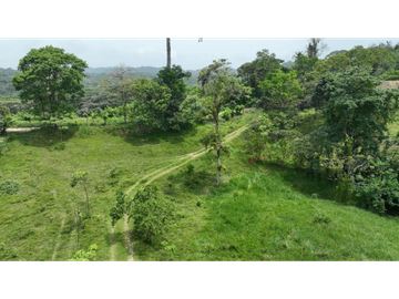 SE VENDE FINCA AGROPECUARIA EN COLÓN