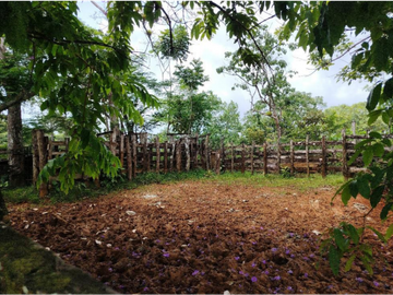 SE VENDE FINCA AGROPECUARIA EN COLÓN
