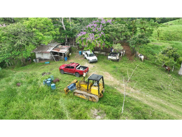 SE VENDE FINCA AGROPECUARIA EN COLÓN