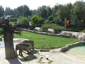 Departamento en Renta en La Pradera
