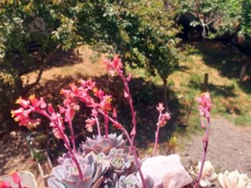 VENTA CASA 5HAB 3BA CONCON