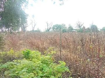 TERRENO RURAL AGRICOLA 15700 MT2